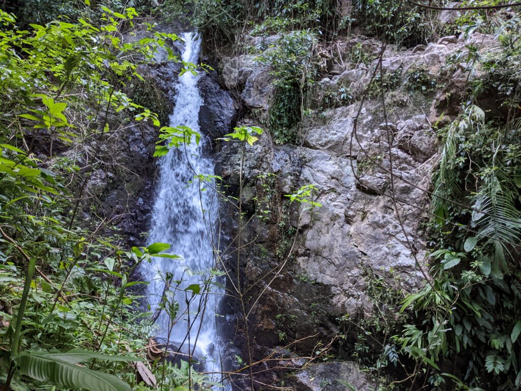 Mayflower Bocawina National Park MBNP Belize Waterfalls