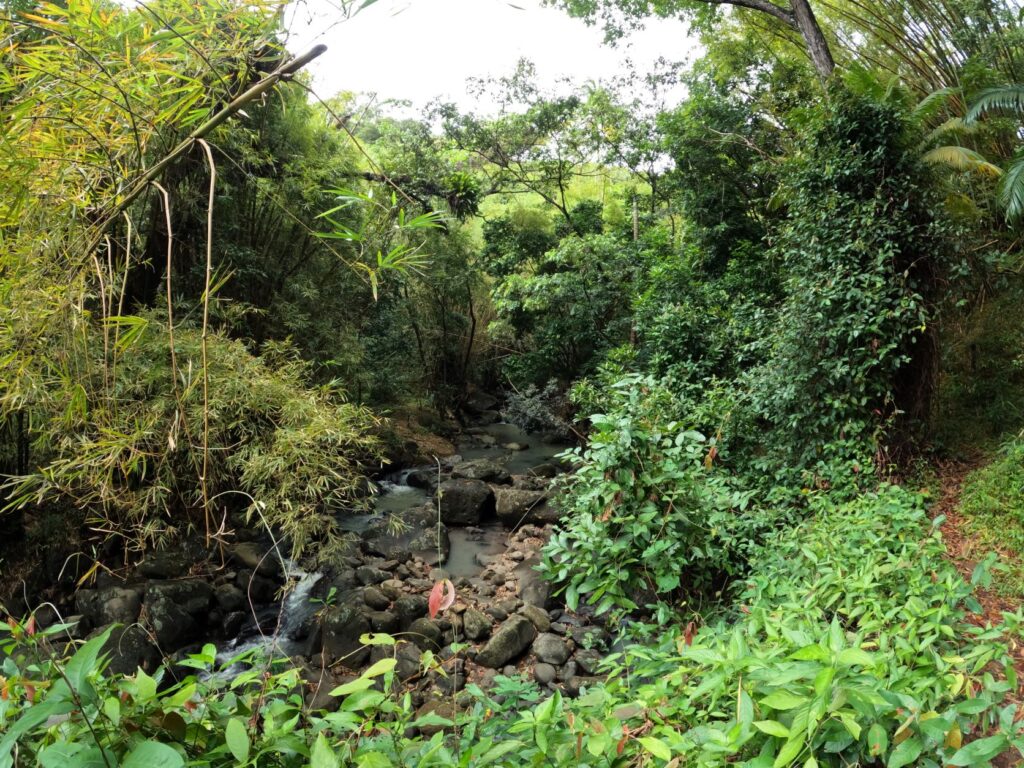 Annandale Falls, Grenada