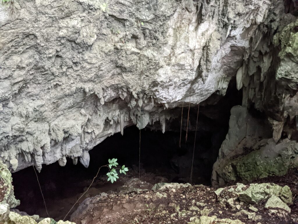 Crystal Cave Entrance, Deep, Steep, and Dark, Belize